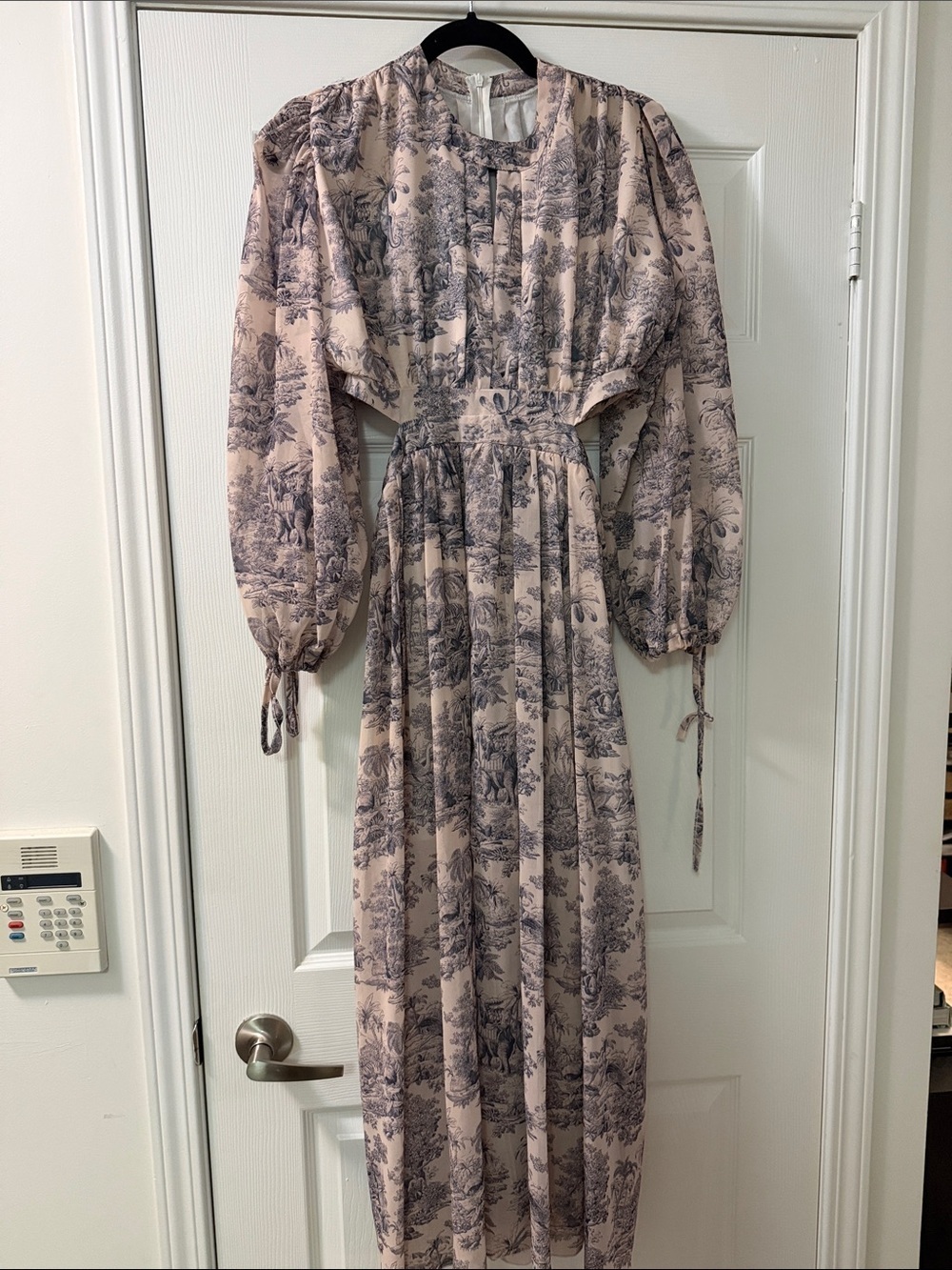 Women's Pink Toile Maxi Dress with Long Sleeves